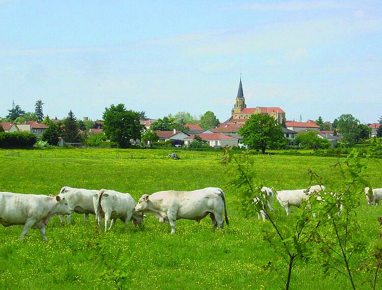 Mably | Site de Roannais Agglomération et de la Ville de Roanne