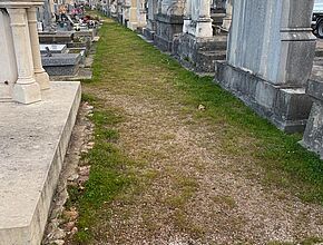 Agrandir l'image (fenêtre modale)