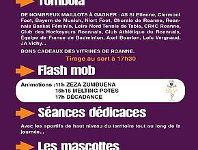 Agrandir l'image (fenêtre modale)