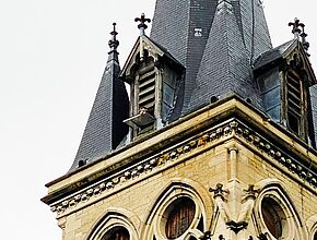 Agrandir l'image (fenêtre modale)