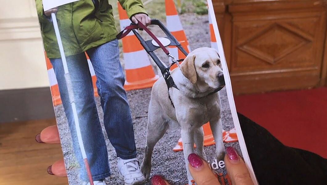 Handicap : un guide pour faciliter le quotidien | Site de Roannais ...