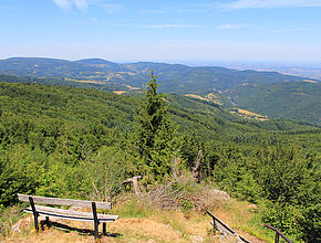 Agrandir l'image (fenêtre modale)