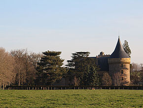 Agrandir l'image (fenêtre modale)